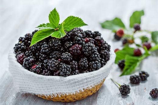 The Sweet History of Blackberries